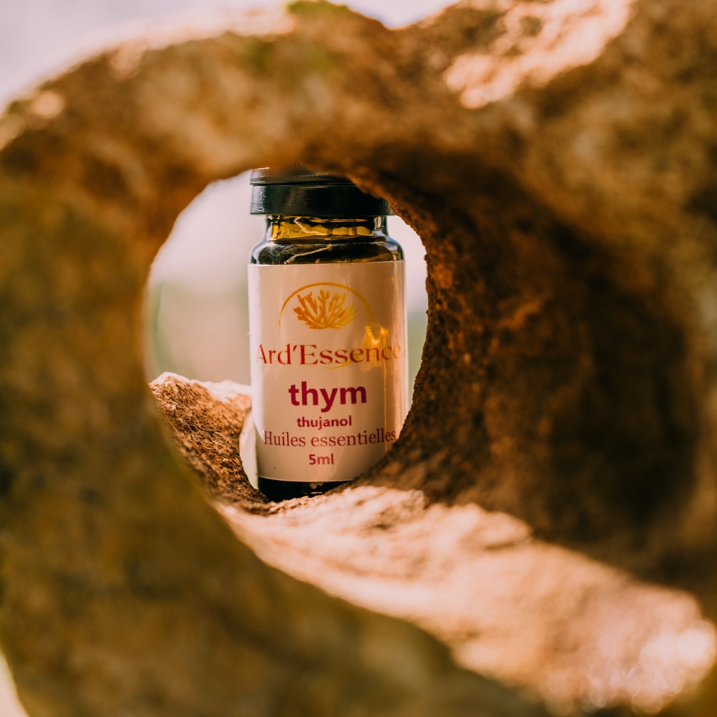 Huile essentielle thym thujanol bio