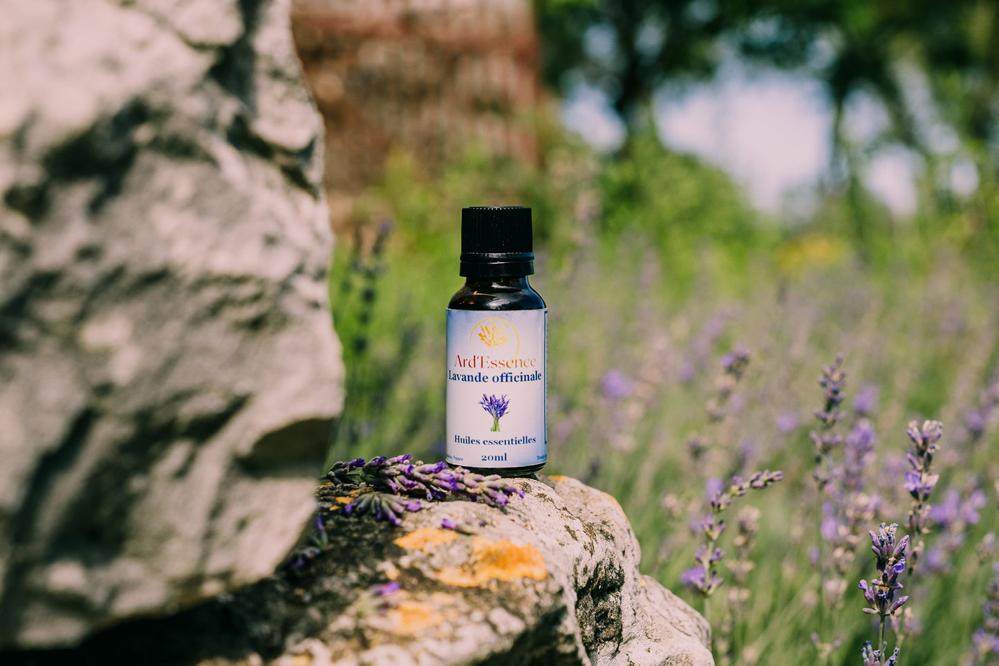 Huile essentielle lavande officinale bio