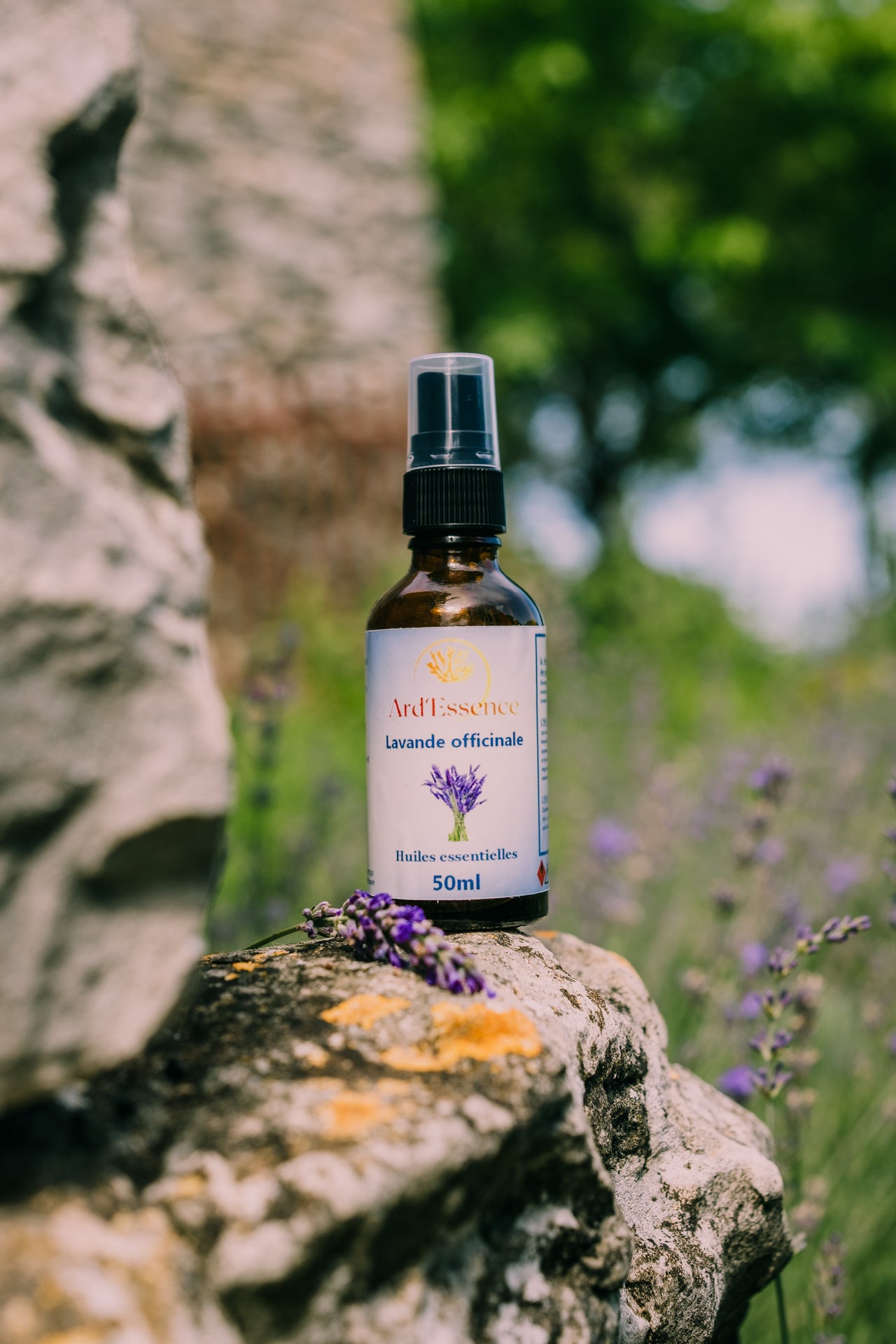 Huile essentielle lavande officinale bio + Spray