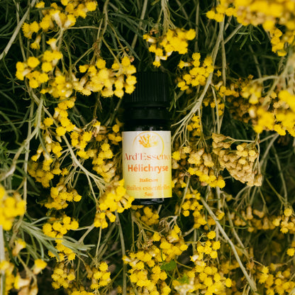 Huile essentielle hélichryse (immortelle) bio