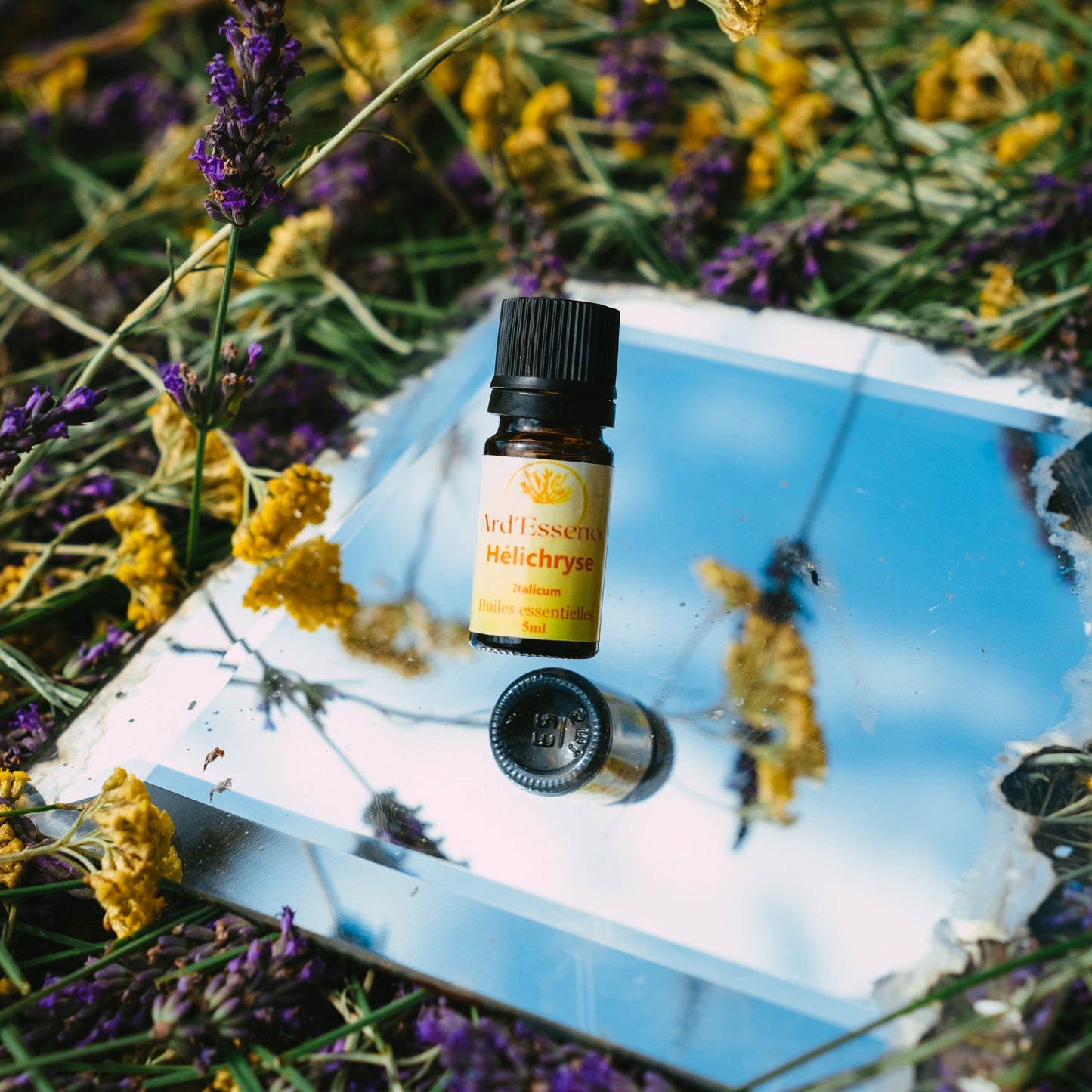 Huile essentielle hélichryse (immortelle) bio