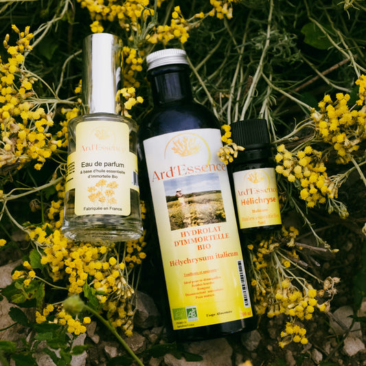 pack immortelle bio ( hydrolat , parfum , huile essentielle )